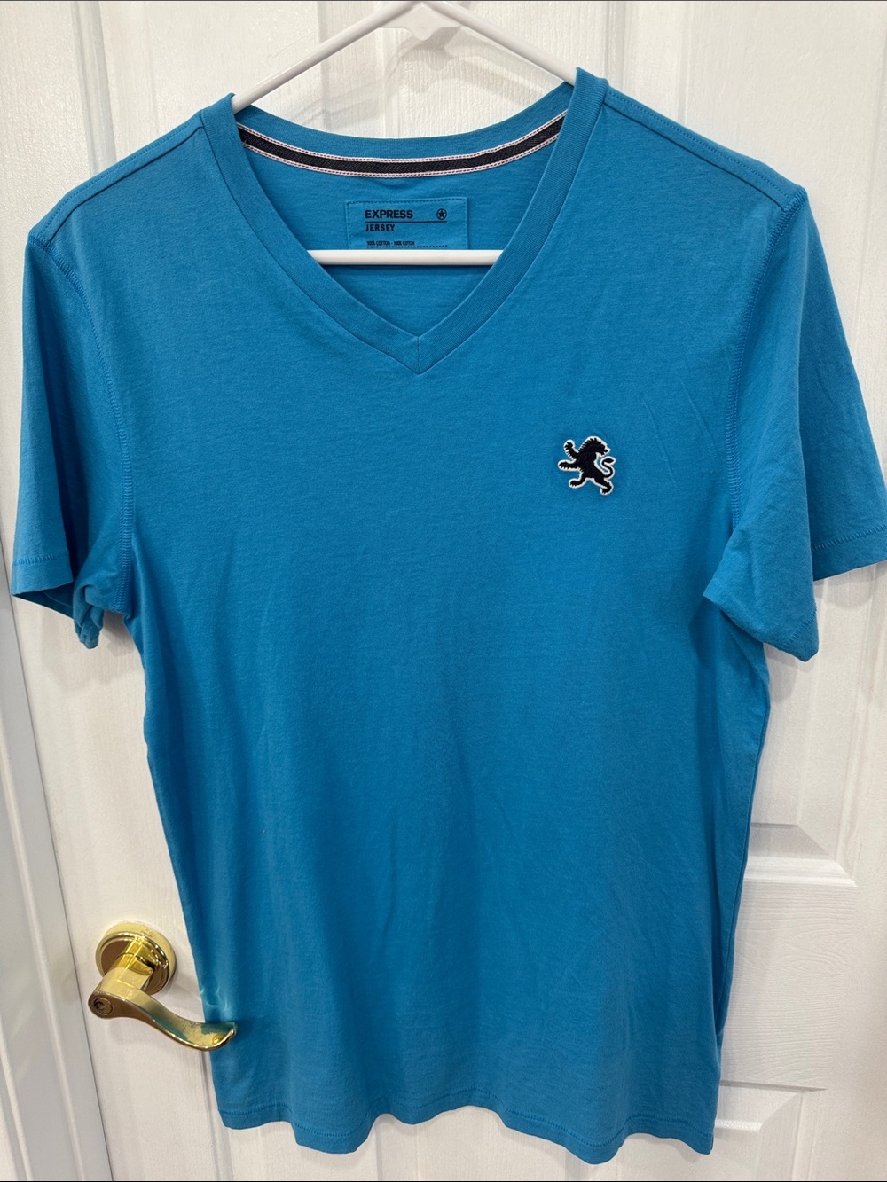 Express Men’s V-Neck Tee in Teal Blue with Lion Patch